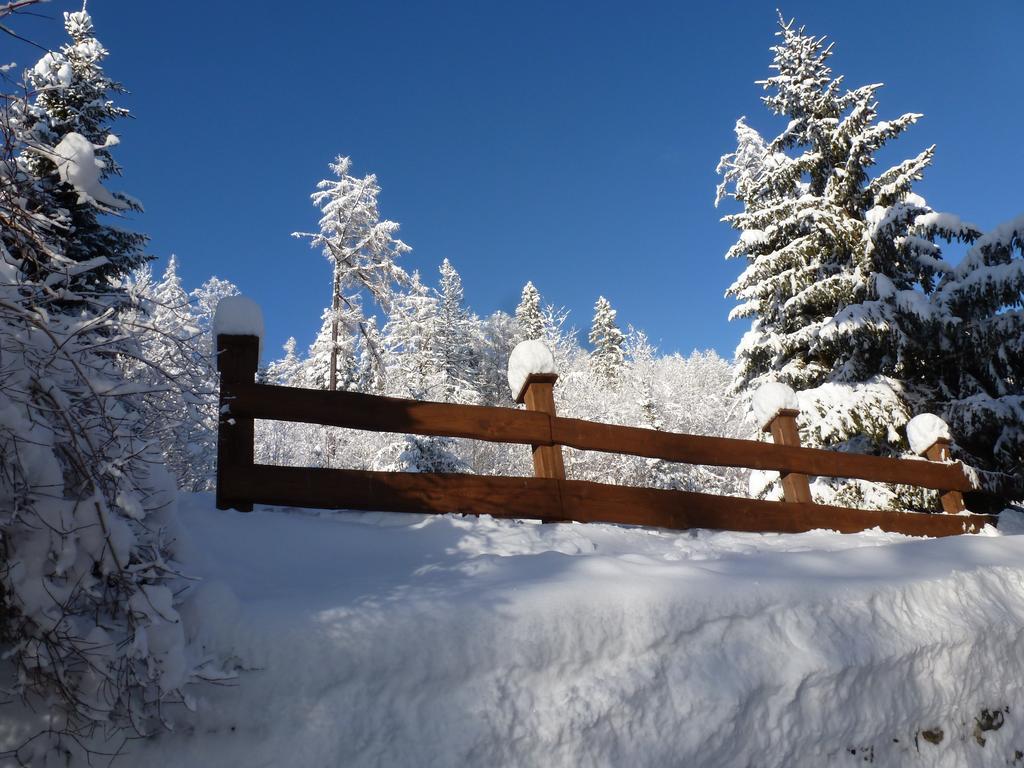 Erika penzión Vysoké Tatry Exterior foto